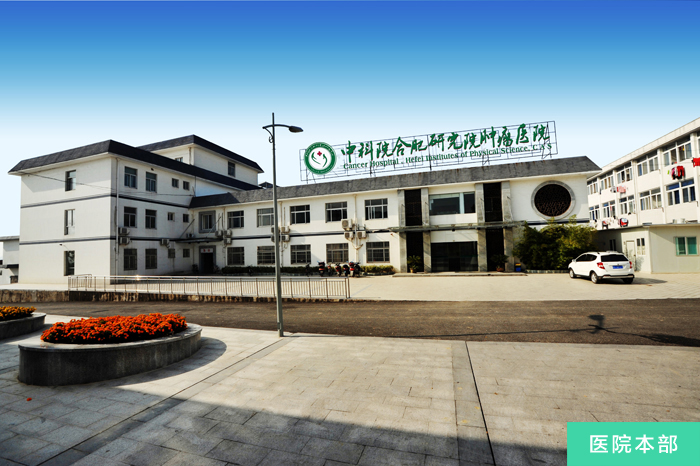 关于中国医学科学院肿瘤医院黄牛挂号绿色通道跑腿代办的信息
